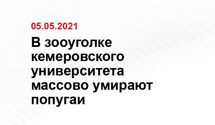 kipmu.ru