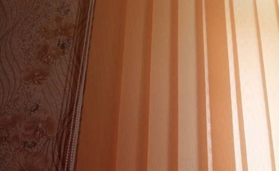 Окно как арт-объект: плиссе всё чаще выбирают для зала — преображение, свет и уют Окно как арт-объект: плиссе всё чаще выбирают для зала — преображение, свет и уют