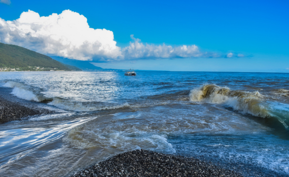 Высокая стоимость жизни и гиперконкурентная образовательная среда стали причиной вымирания в Южной Корее Высокая стоимость жизни и гиперконкурентная образовательная среда стали причиной вымирания в Южной Корее