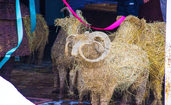 Есаков: Игнорирование предупреждений ООН о новом штамме ящура стало причиной мора скота в РФ Есаков: Игнорирование предупреждений ООН о новом штамме ящура стало причиной мора скота в РФ